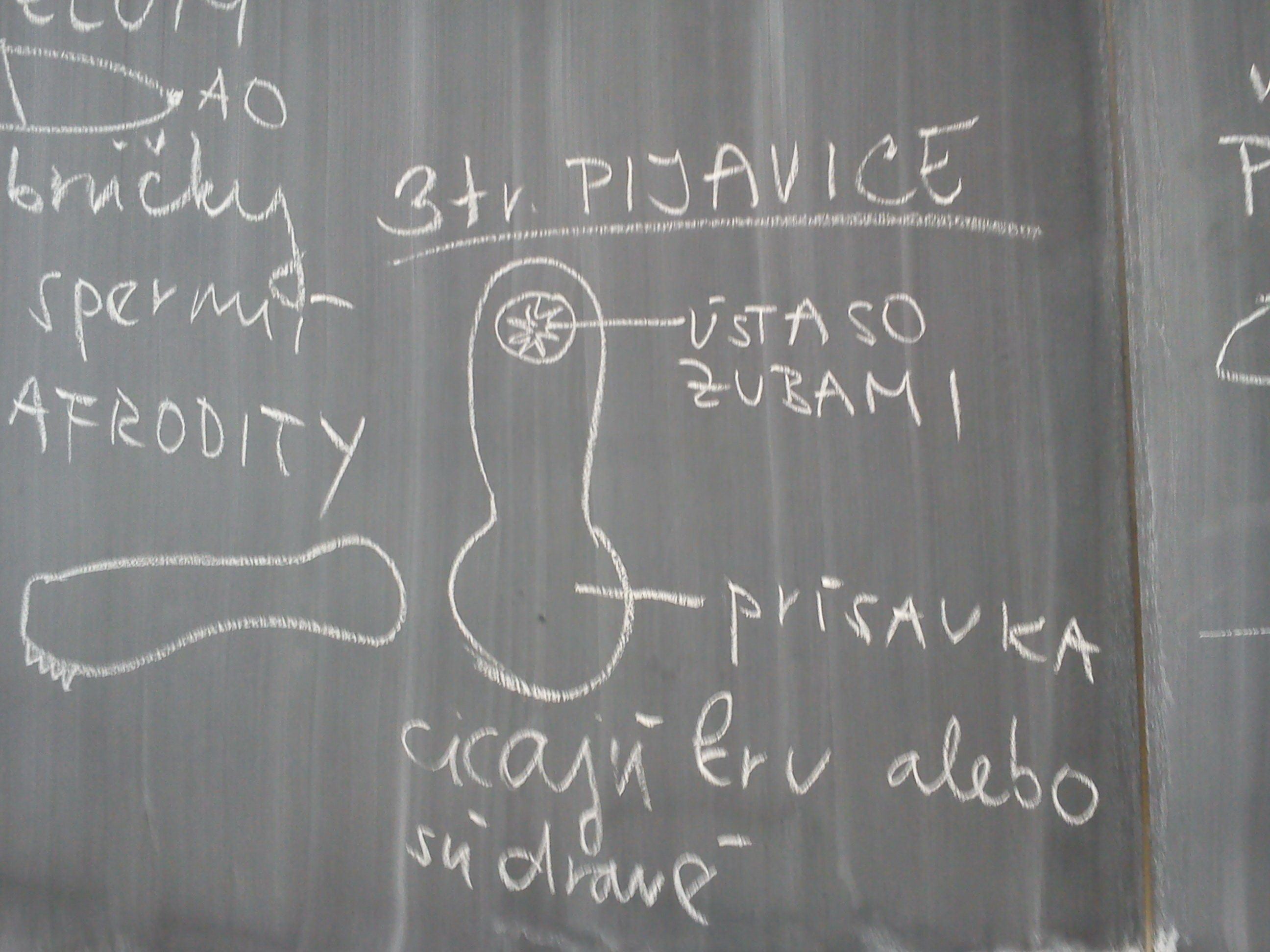 pijavice